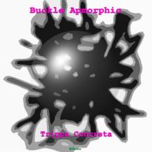 Trippa Concreta by Buckle Apmorphic (cover)