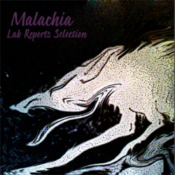 lab reports selection by malachia